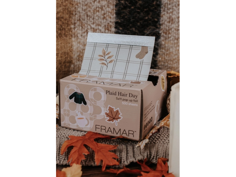 FRAMAR PLAID HAIR DAY POP UP FOIL